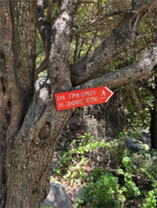 sign written in Greek on a tree